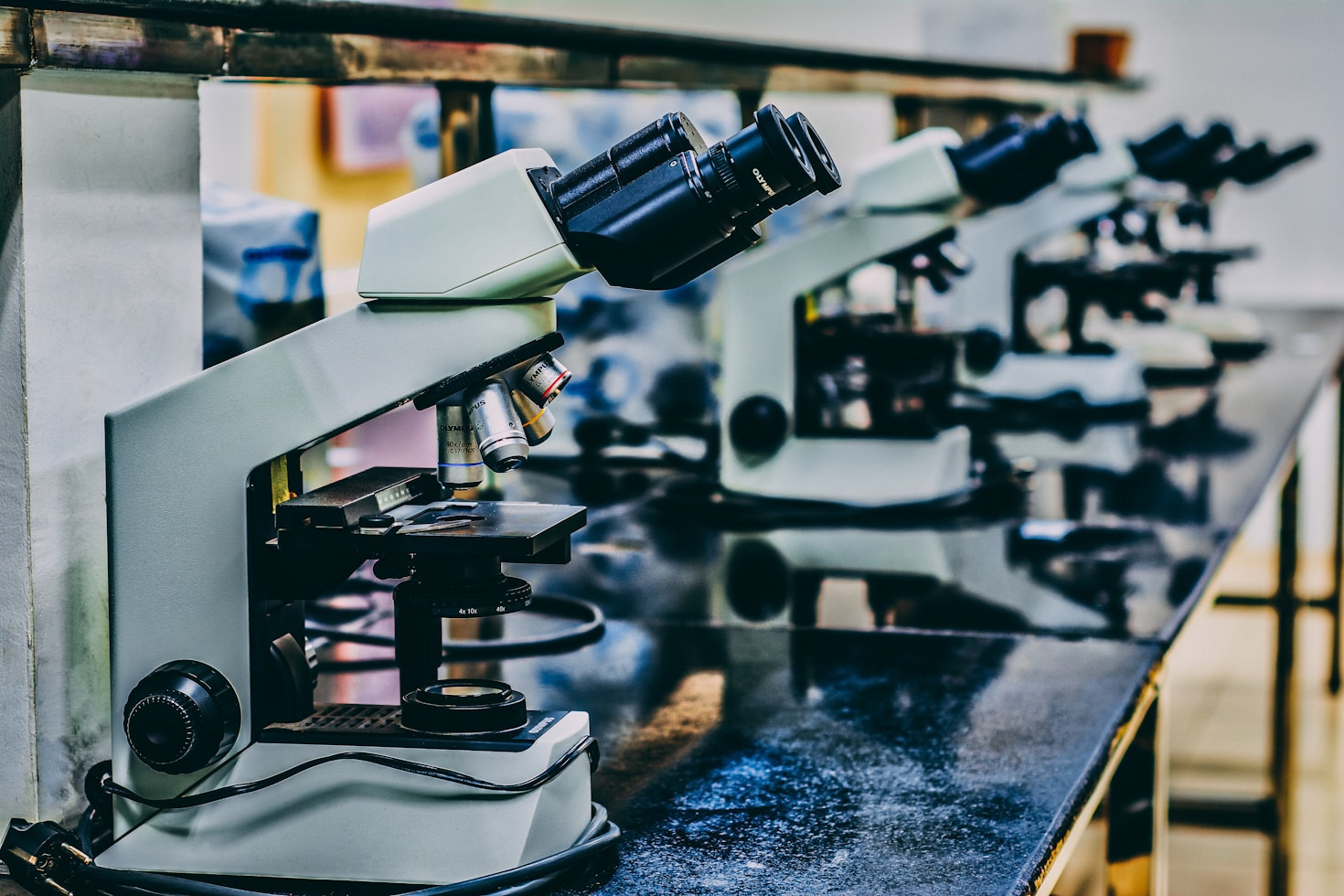 The Future Of Naturopathy In Eastern Europe